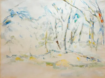 Undergrowth
